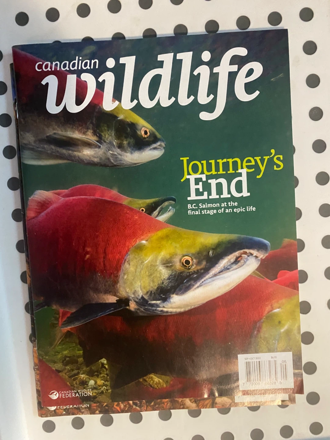 Canadian Wildlife Magazine Collection (2 Issues)