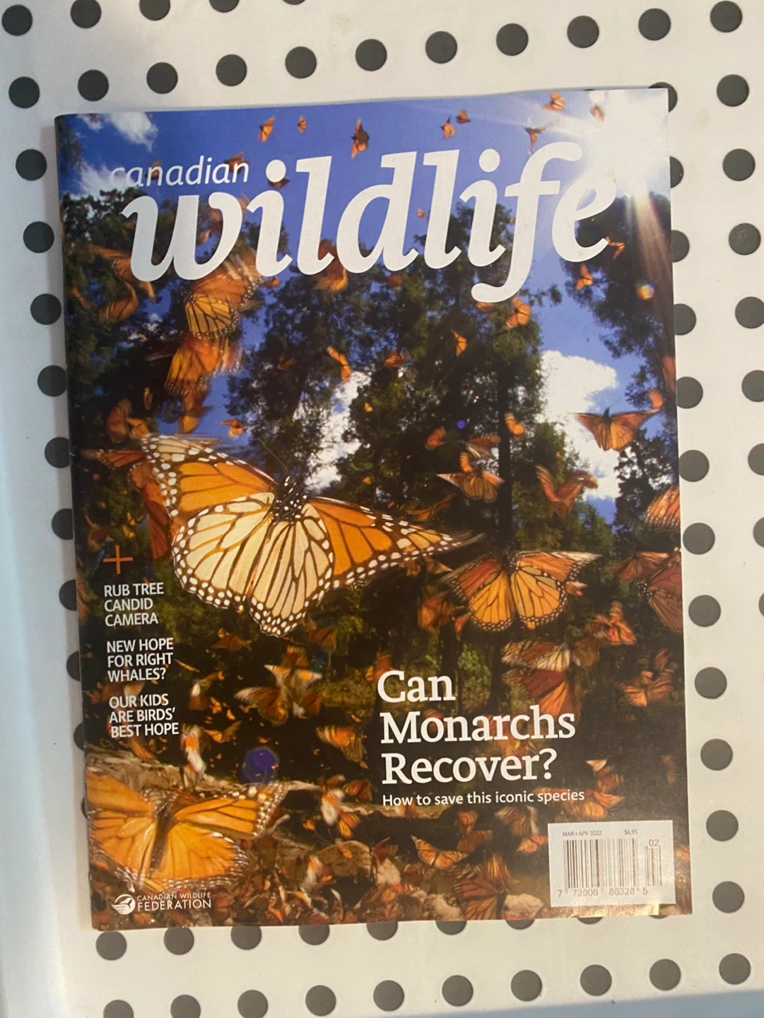 Canadian Wildlife Magazine Collection (2 Issues) - photo 2