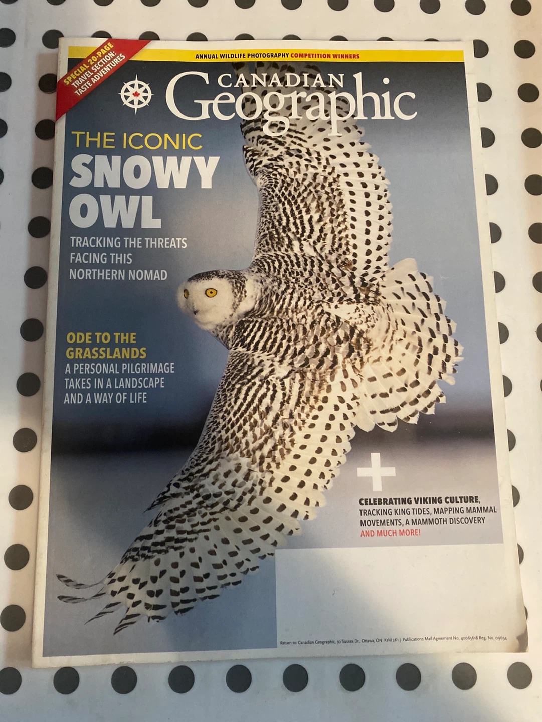 Canadian Geographic Magazines Bundle (July 2022-Feb 2023) - photo 4