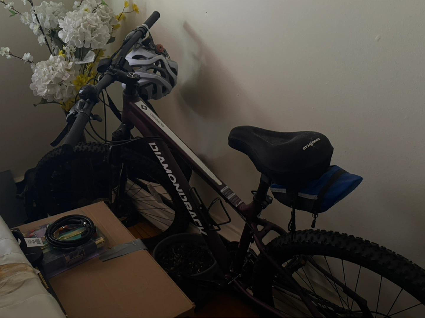 Diamondback Mountain Bike
