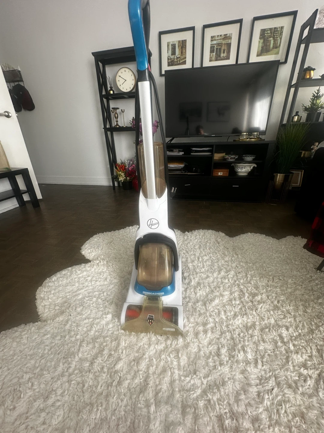 Hoover Carpet Cleaner - photo 2