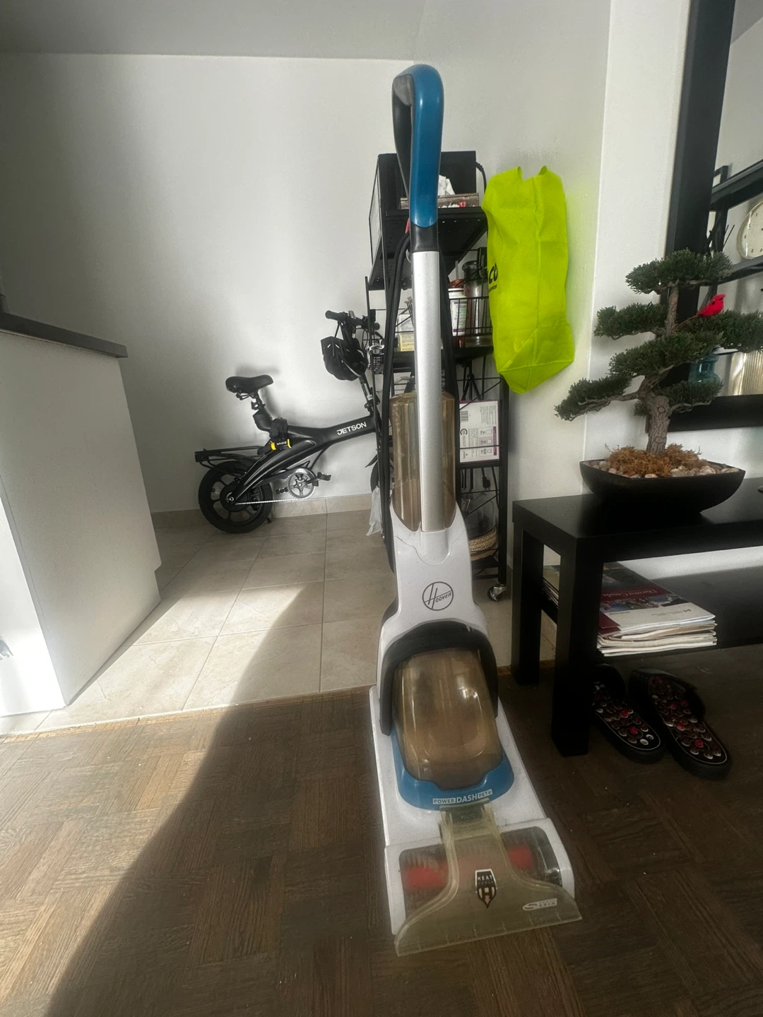 Hoover Carpet Cleaner