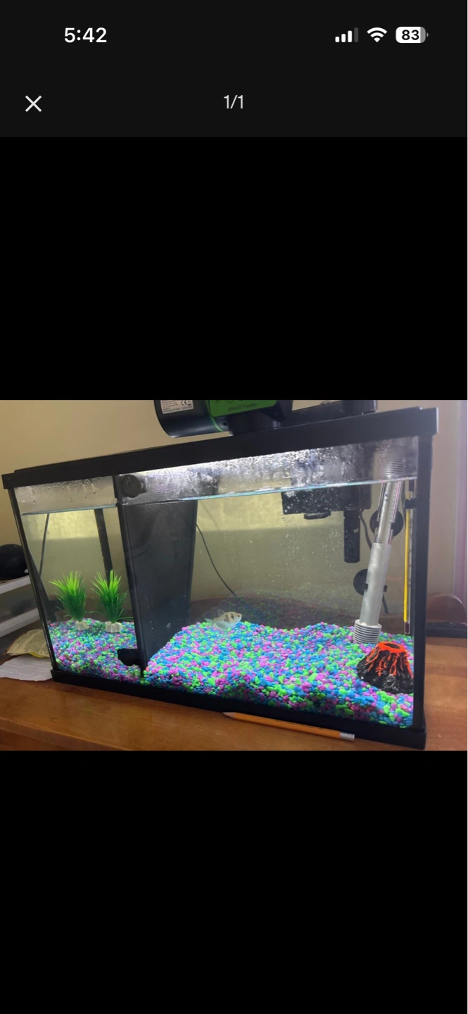 Aquarium with Filter, Heater, and Accessories