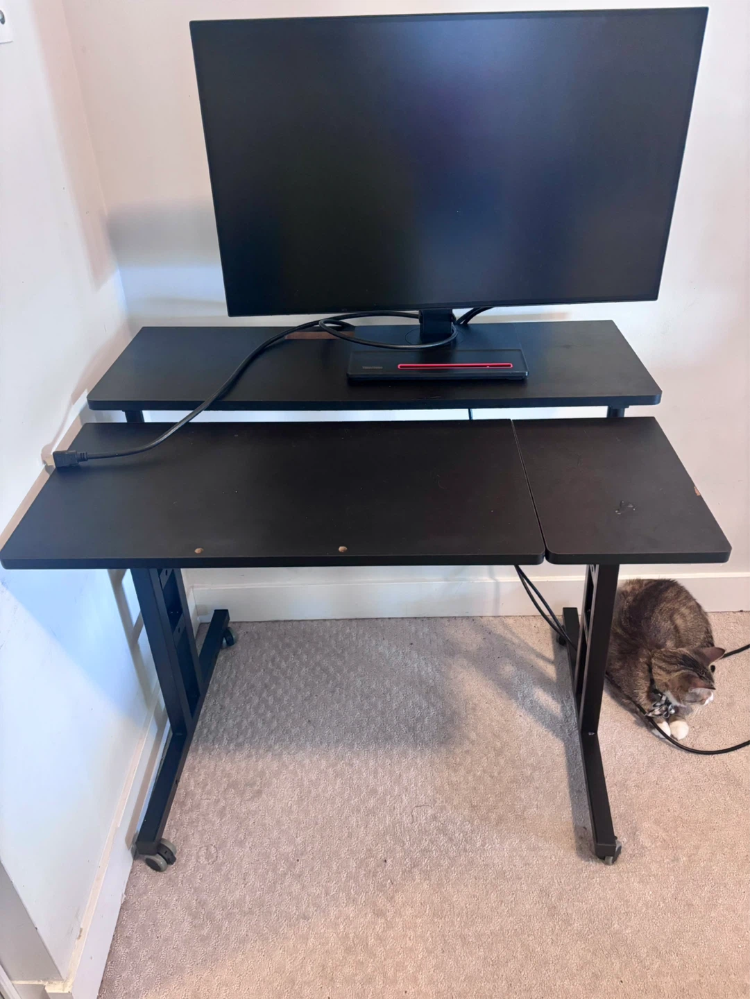 Adjustable Desk with Monitor Shelf