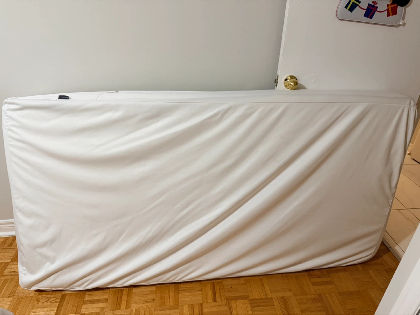 White Twin Mattress with bed bug protector