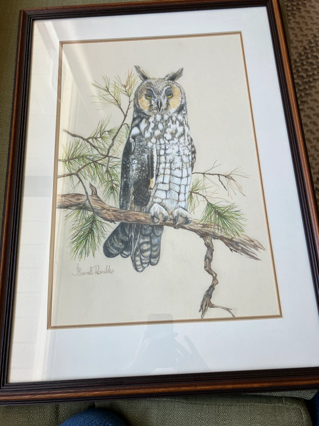 Framed Owl Art Drawing by J. Barnett Reinikka