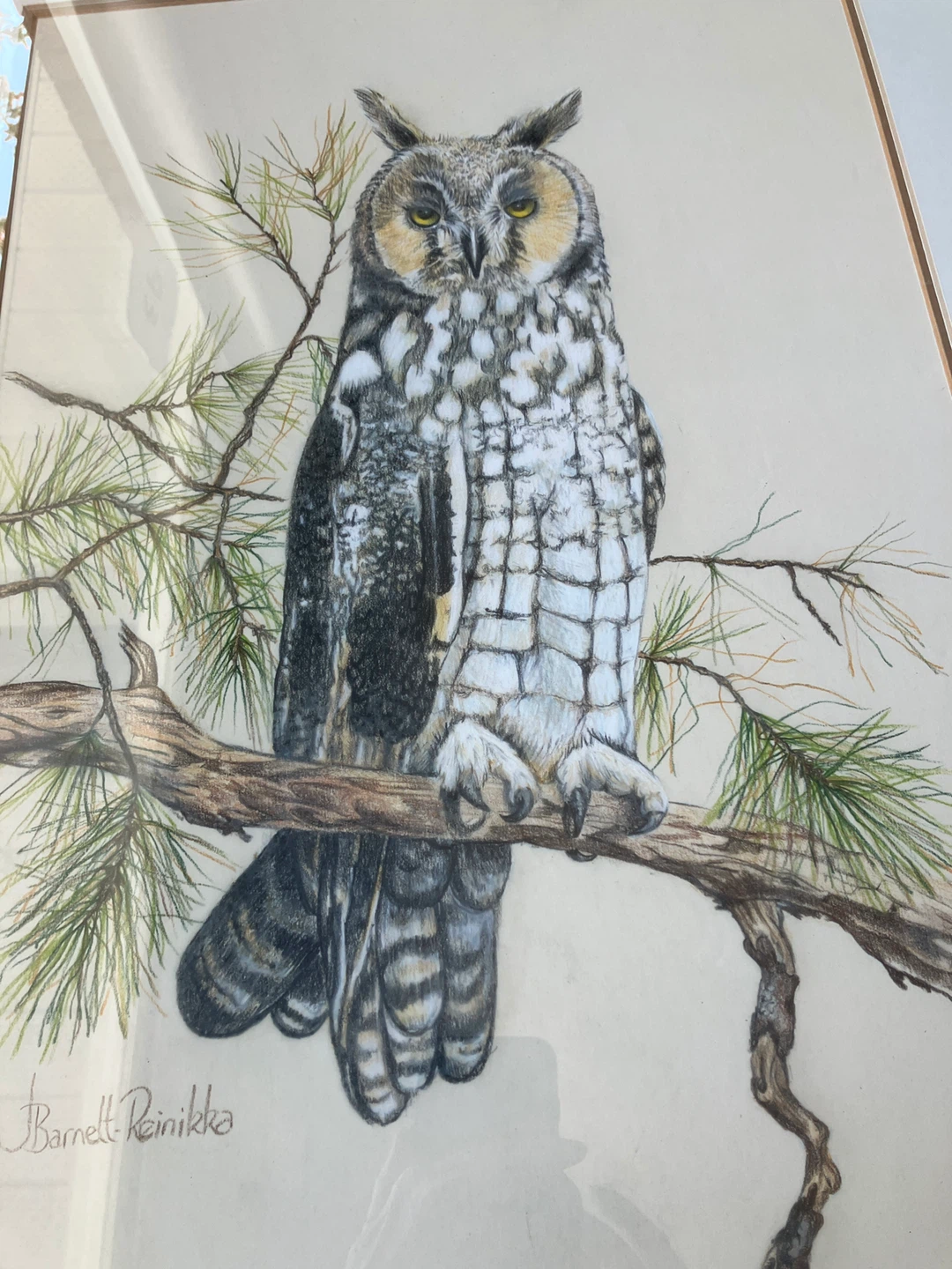 Framed Owl Art Drawing by J. Barnett Reinikka - photo 3