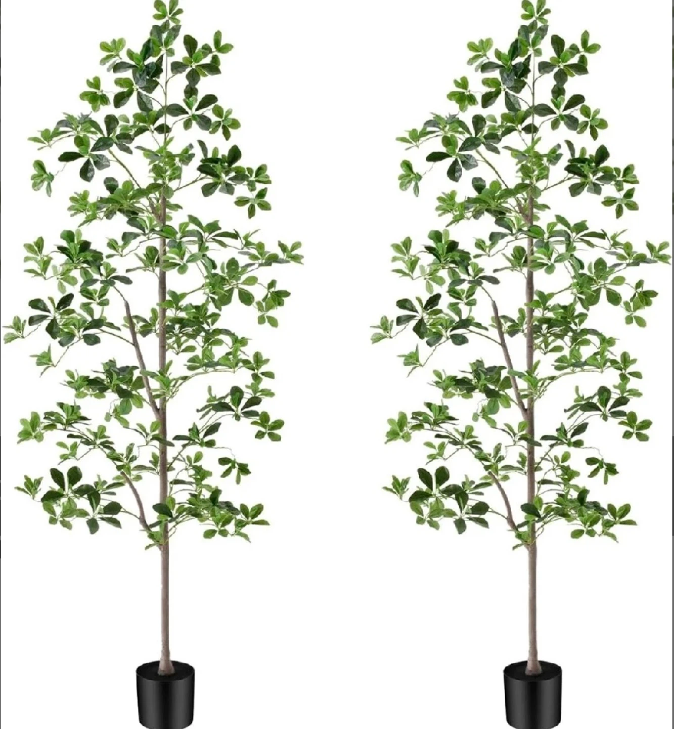 Factory Sealed 6ft Artificial Black Olive Tree with 945 Leaves