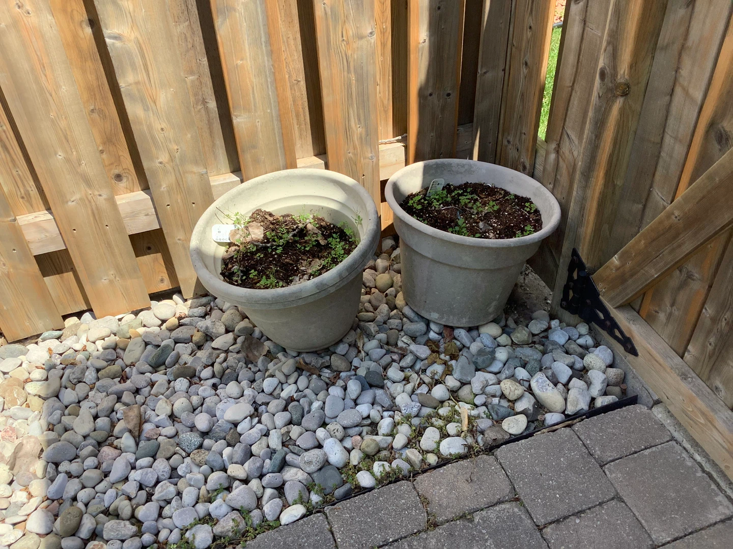 Set of 5 large garden planters