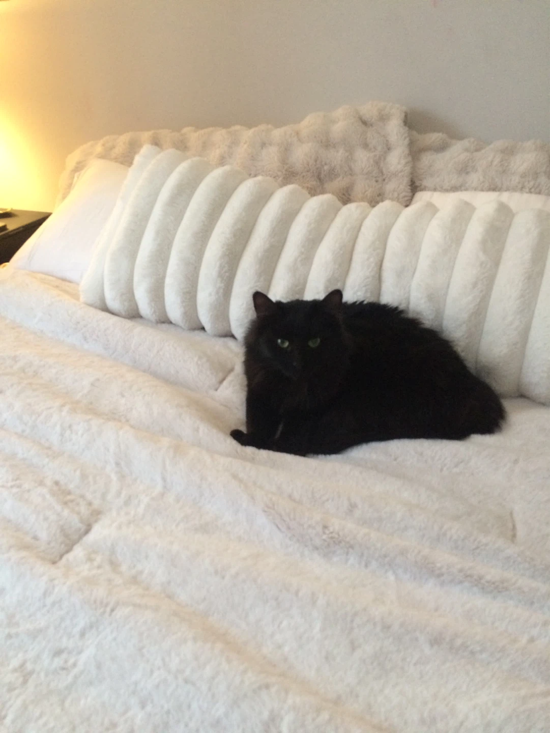 Fuzzy White Throw Blanket