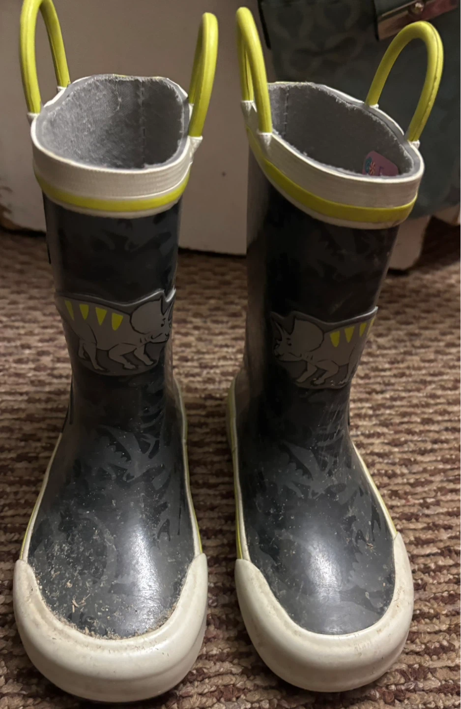 Kids Dinosaur Rain Boots Size 6