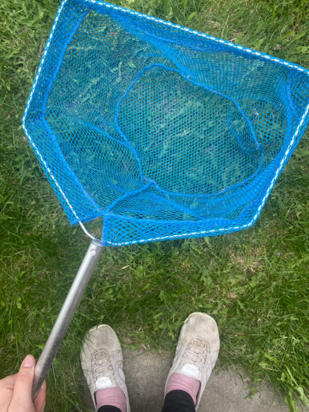 Blue Mesh Net with Silver Handle - photo 3