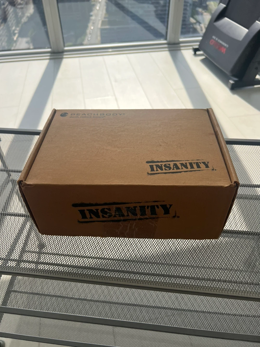 Beachbody INSANITY 60-Day Total Body Conditioning Program - photo 2