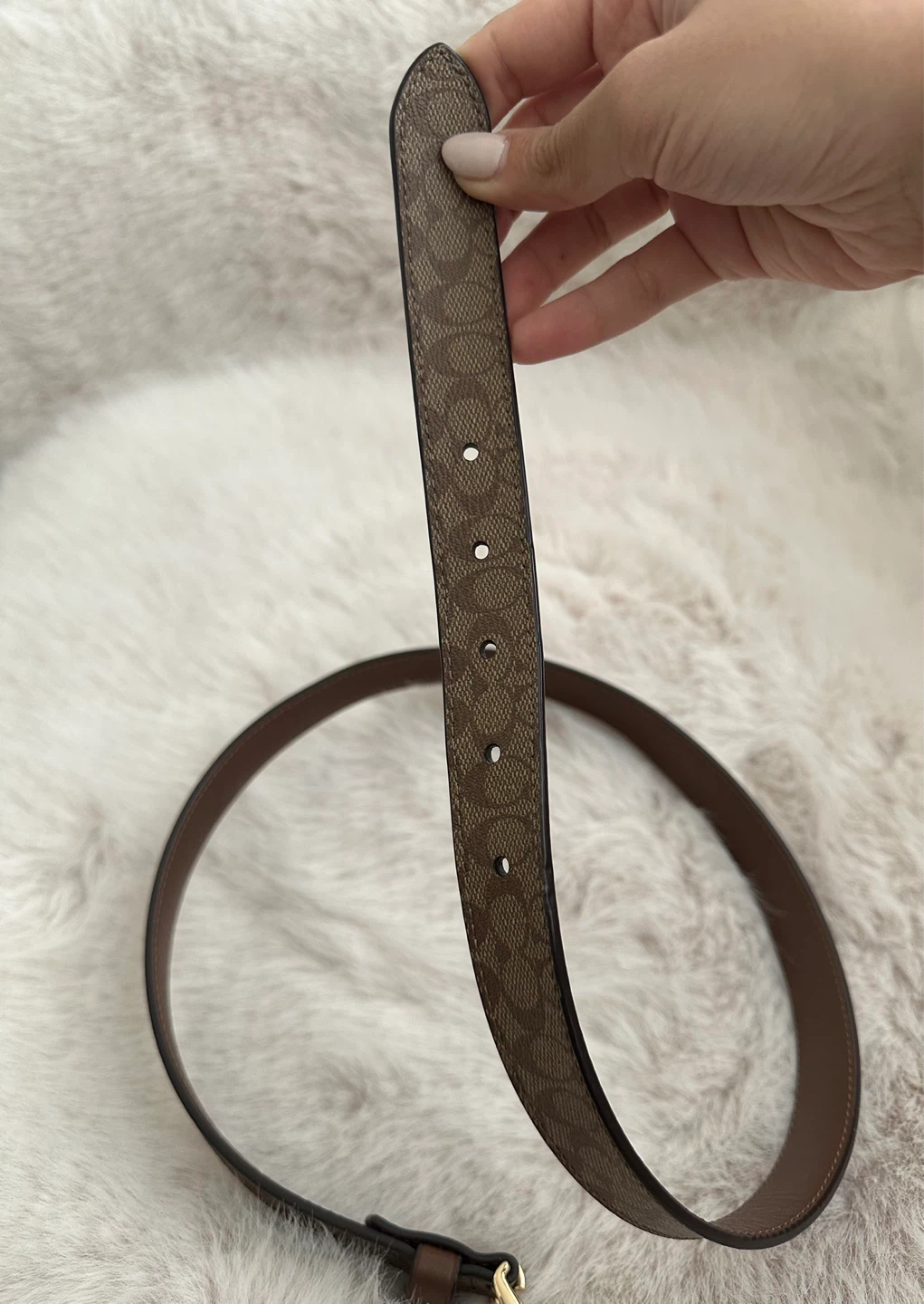 Coach Belt - Brown Signature Print - photo 4