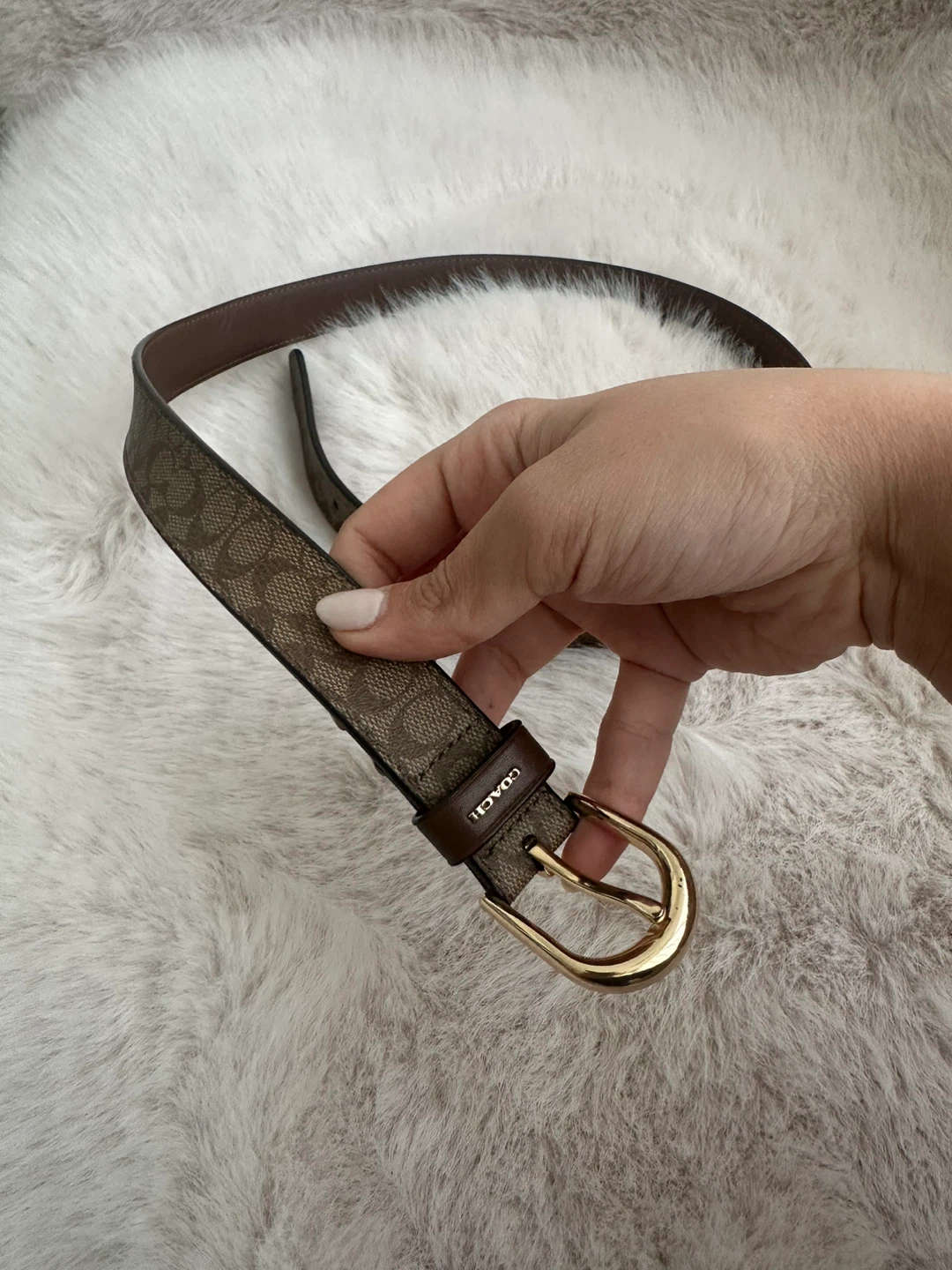Coach Belt - Brown Signature Print - photo 2