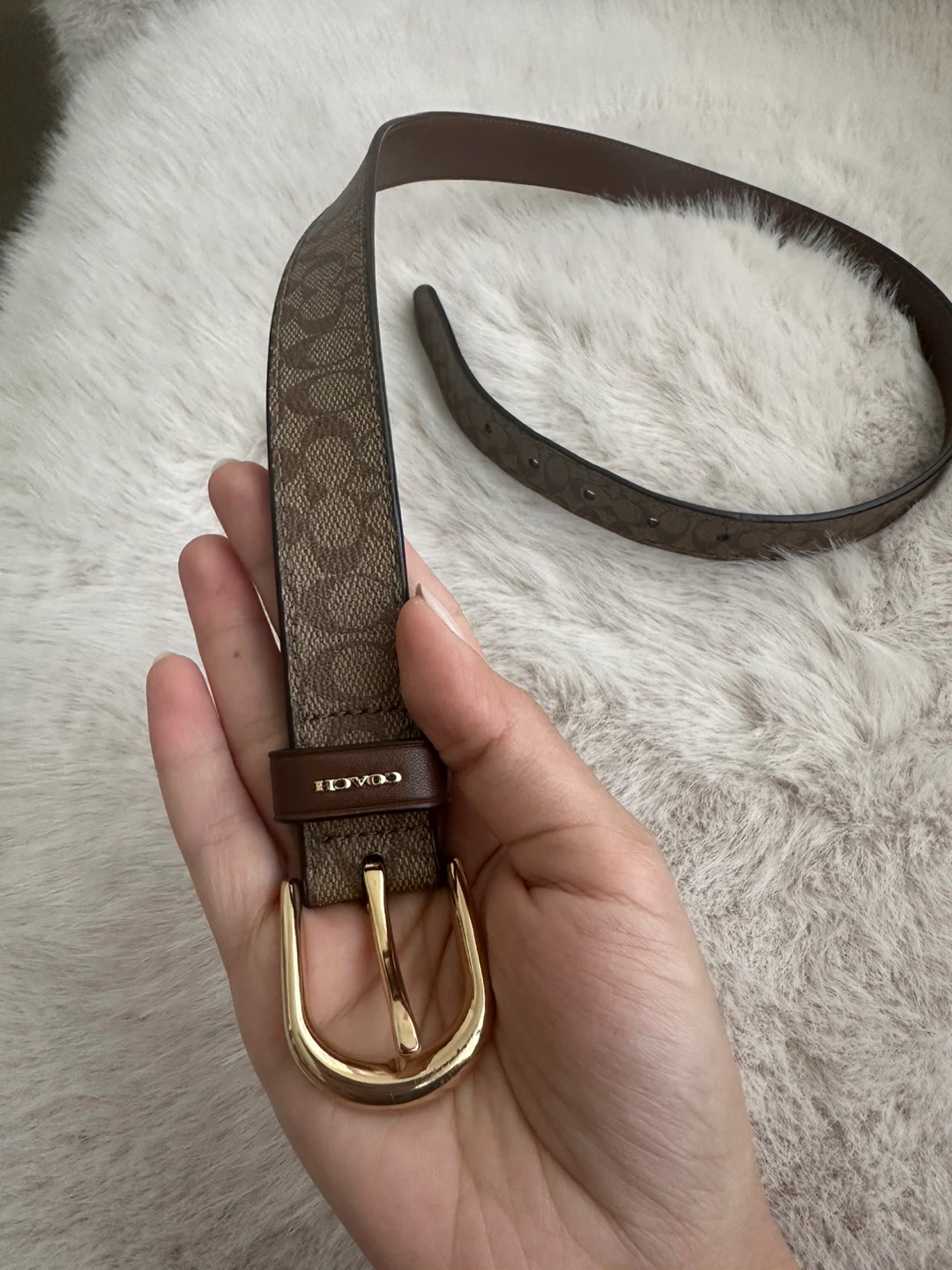 Coach Belt - Brown Signature Print - photo 3