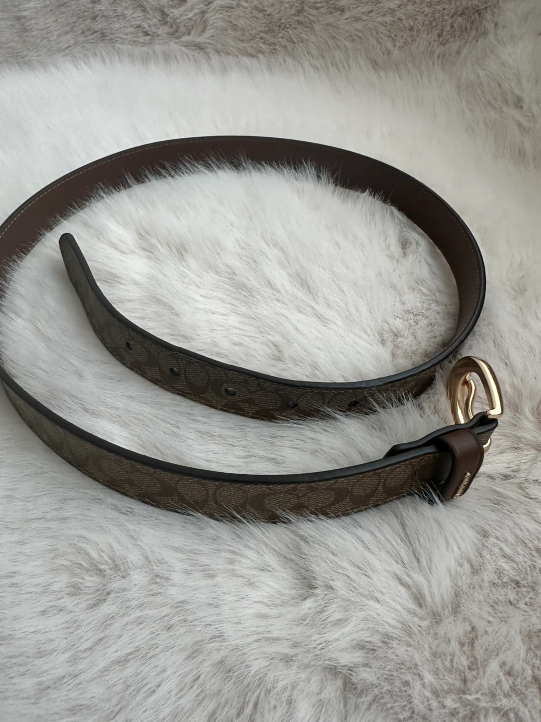 Coach Belt - Brown Signature Print