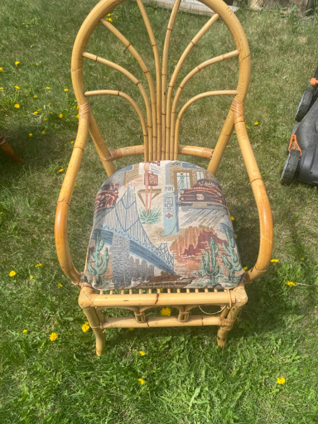 Woven Rattan Accent Chair with Southwestern Print Cushion - photo 3