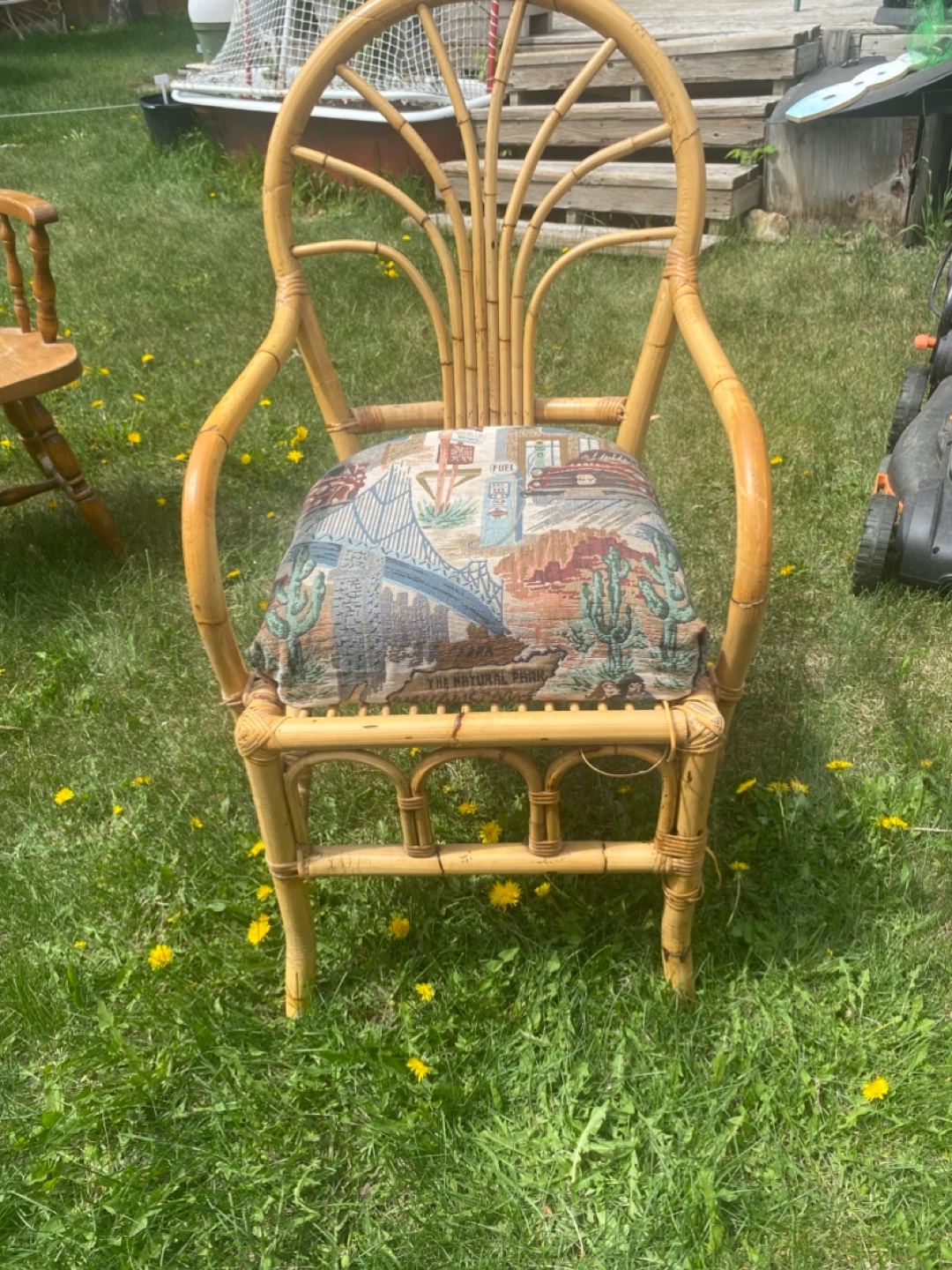 Woven Rattan Accent Chair with Southwestern Print Cushion - photo 2