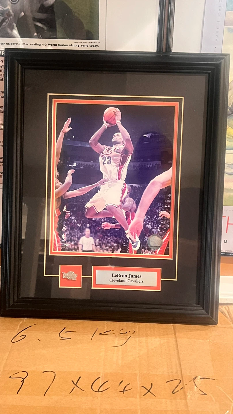 LeBron James Cleveland Cavaliers Framed Photo