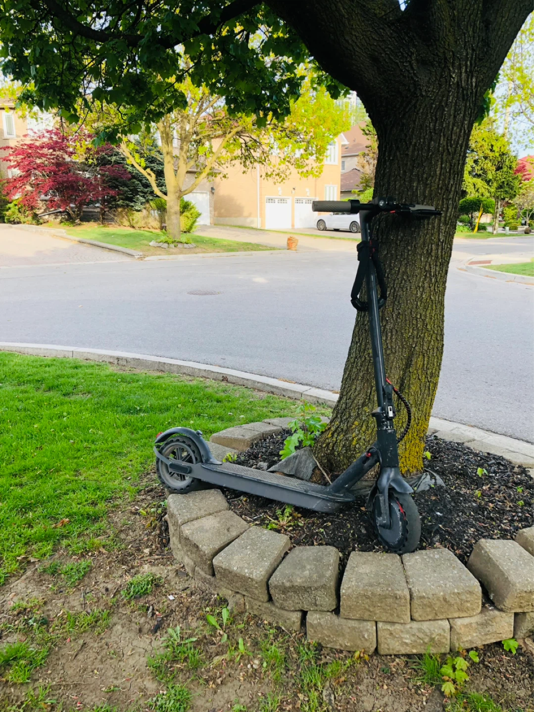 Black Electric Scooter