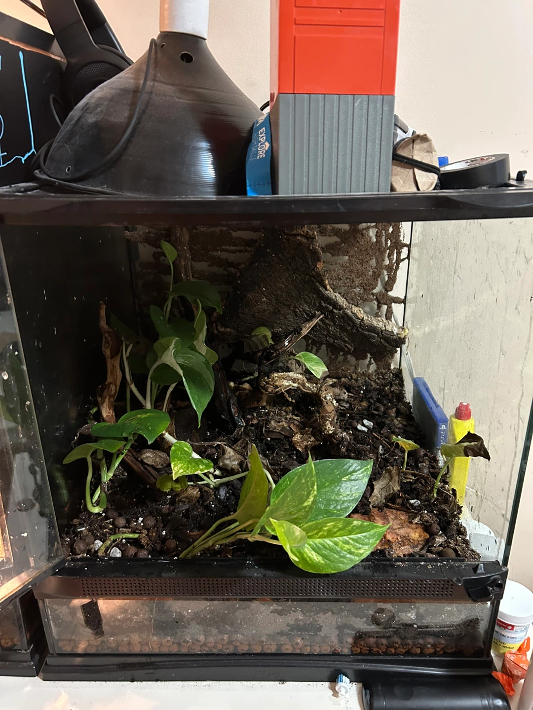 Live vivarium - photo 2