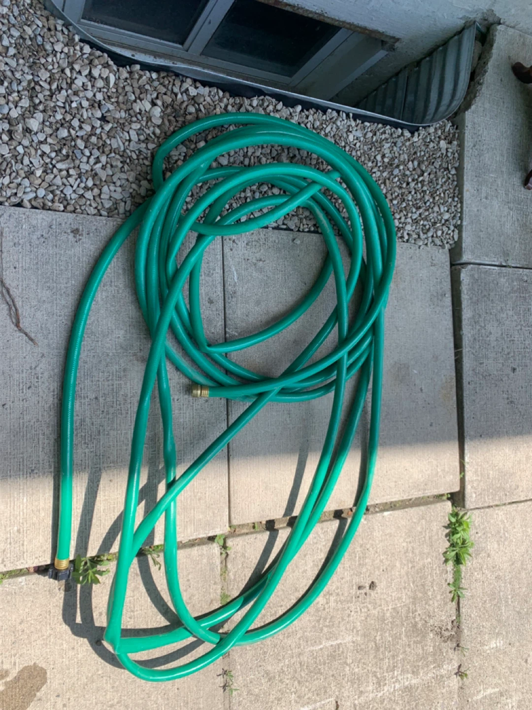 Green Garden Hose