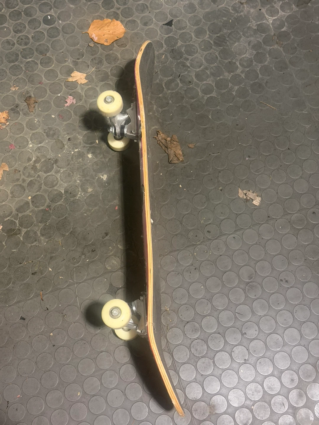 Beleev skateboard with panda graphic - photo 3