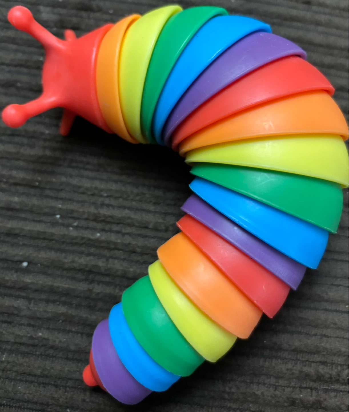 Rainbow Slinky Caterpillar Toy