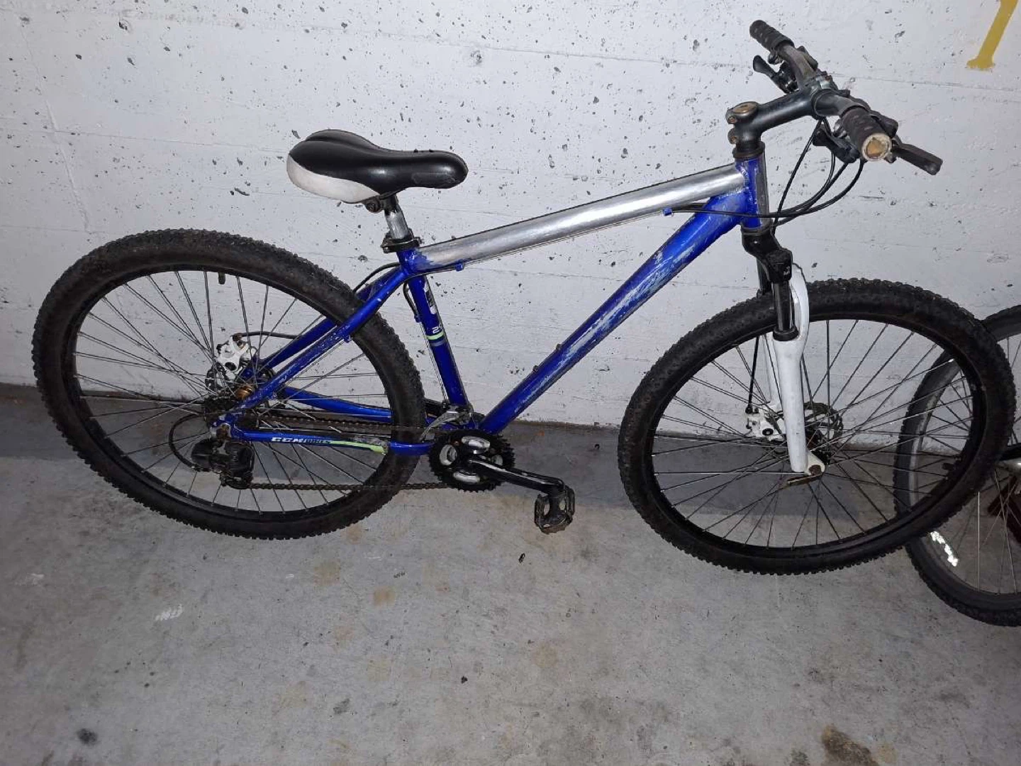 Blue Mountain Bike