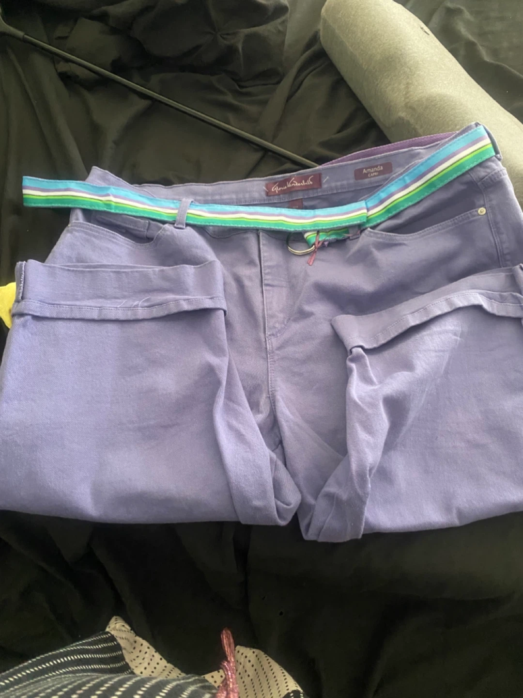 Gloria Vanderbilt Amanda Capri Pants Purple Size 22W