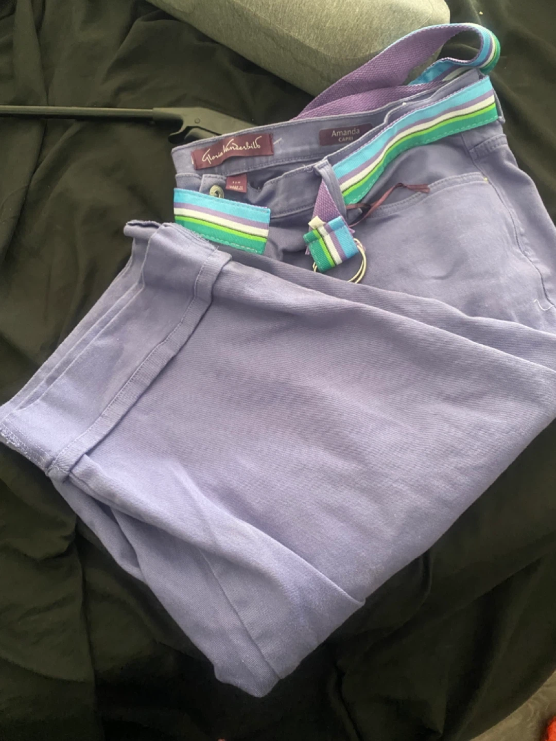 Gloria Vanderbilt Amanda Capri Pants Purple Size 22W - photo 5