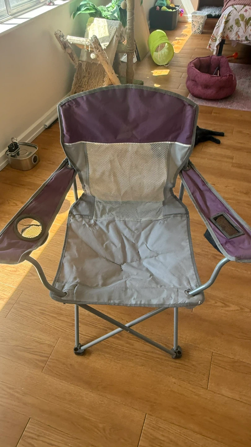Purple Camping Chair