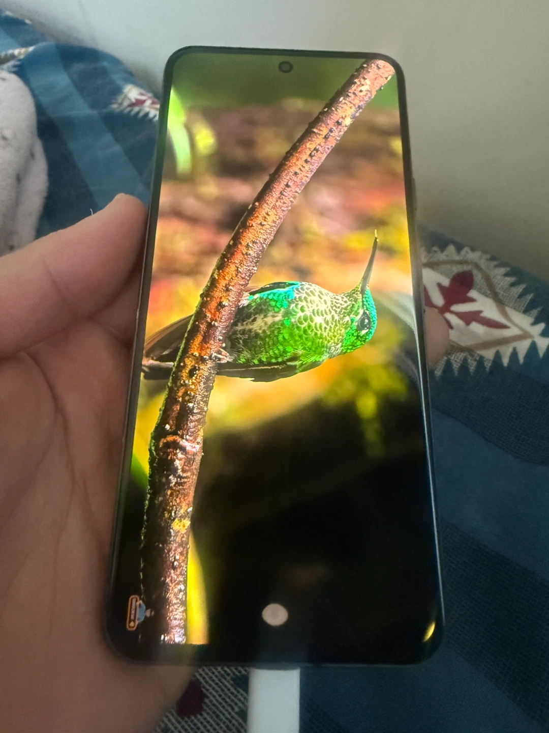 Google Pixel 8 128 gb - Like New - photo 2