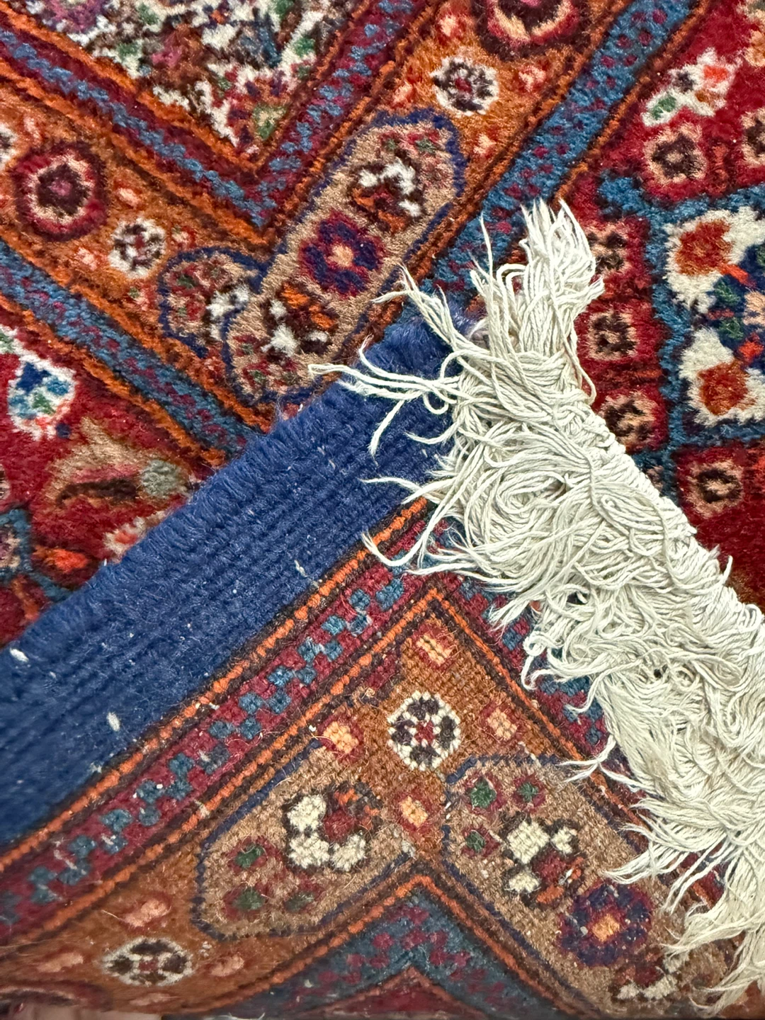 Persian Style Area Rug - photo 3