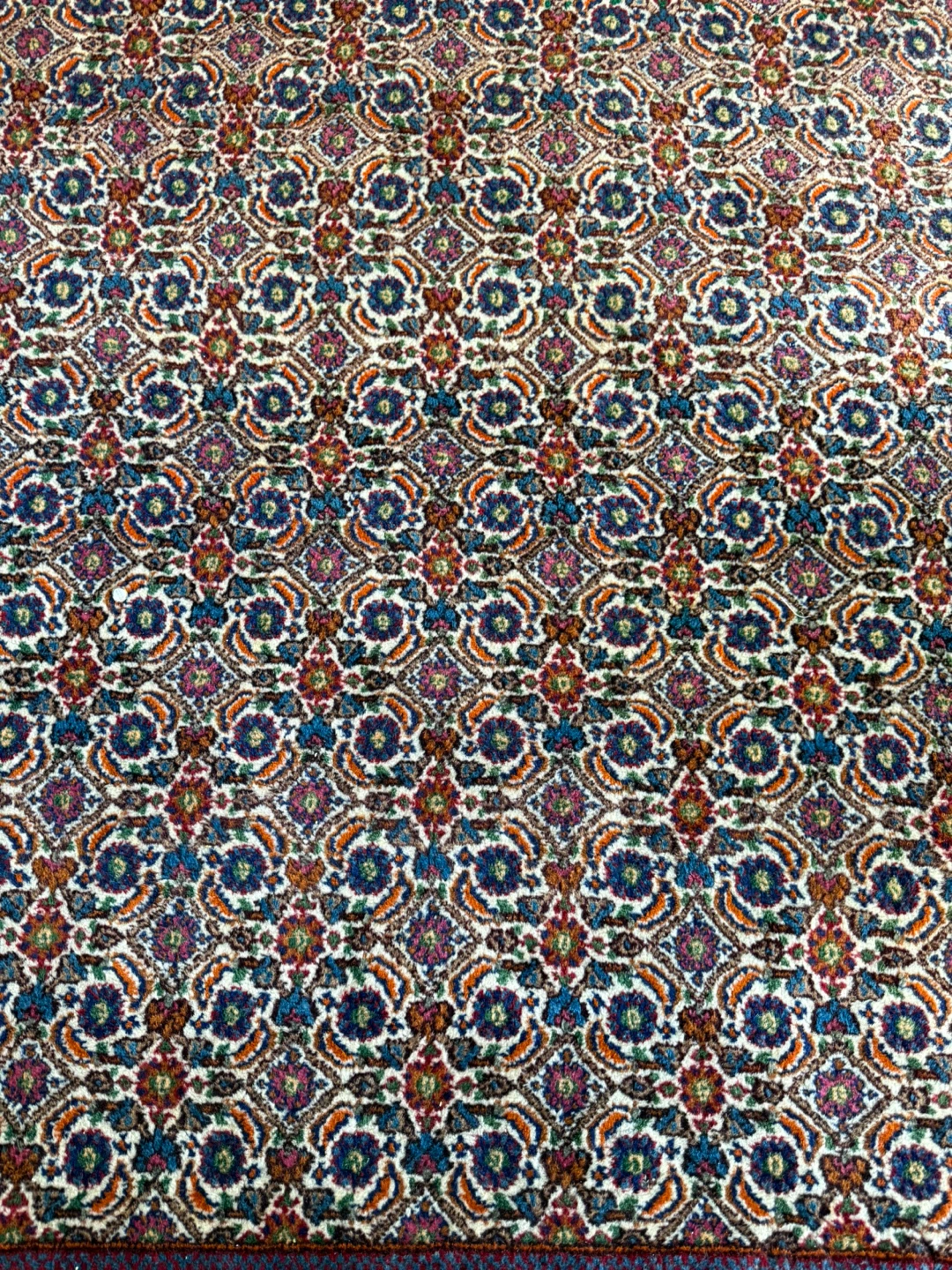 Persian Style Area Rug - photo 2