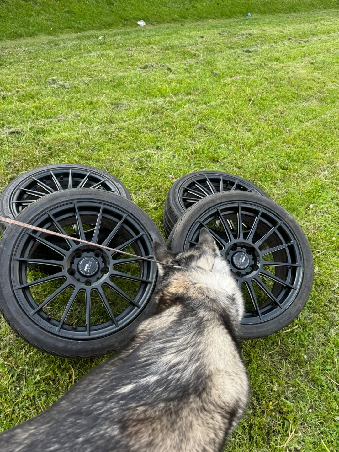 Set of 4 Black Alloy Wheels - photo 4