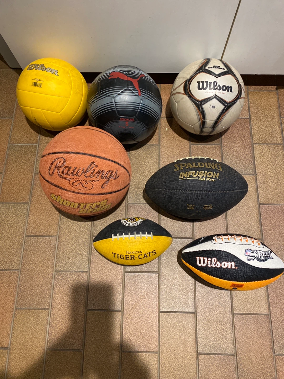 Assorted Sports Balls