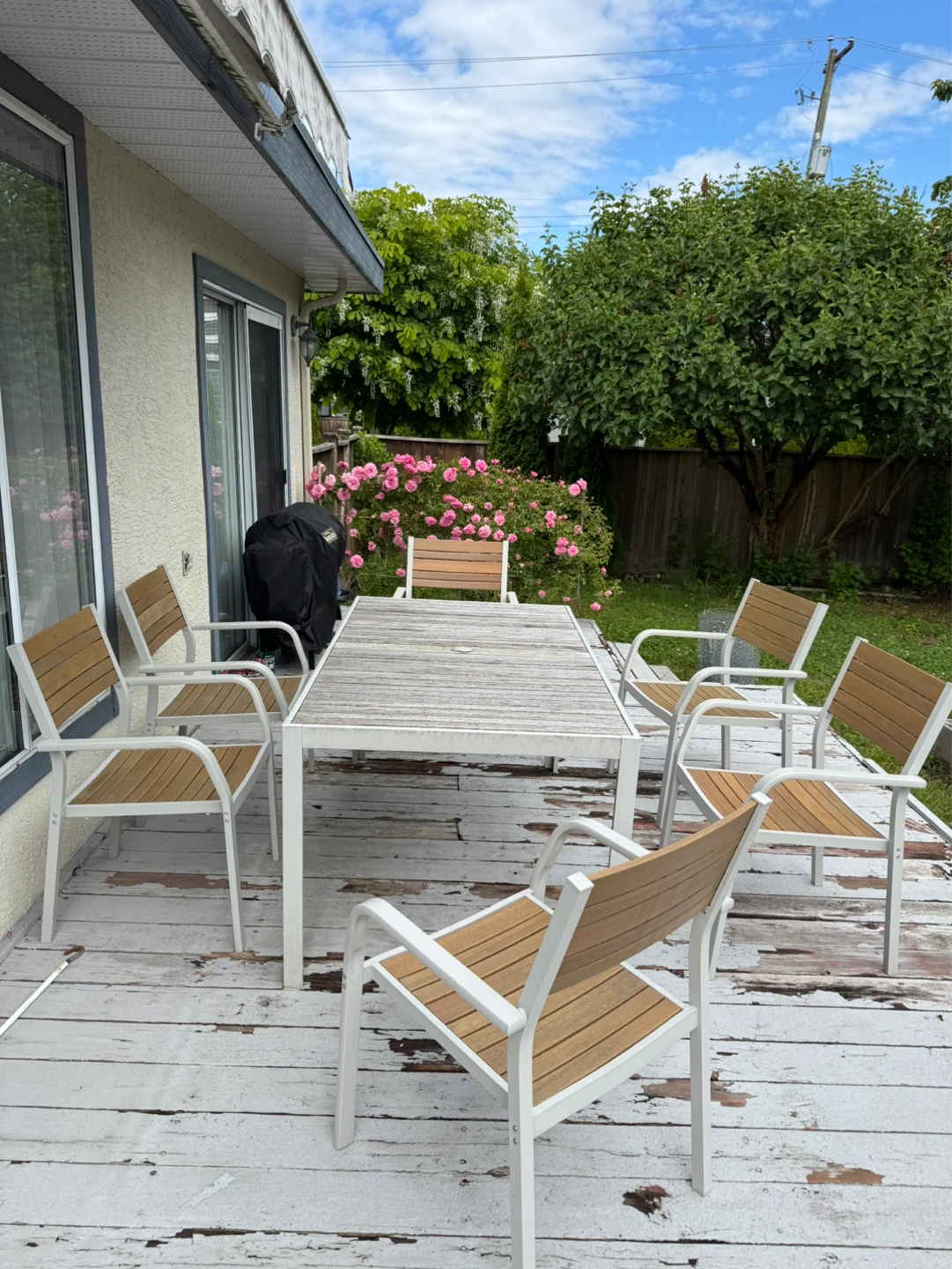Table and 6 Chairs