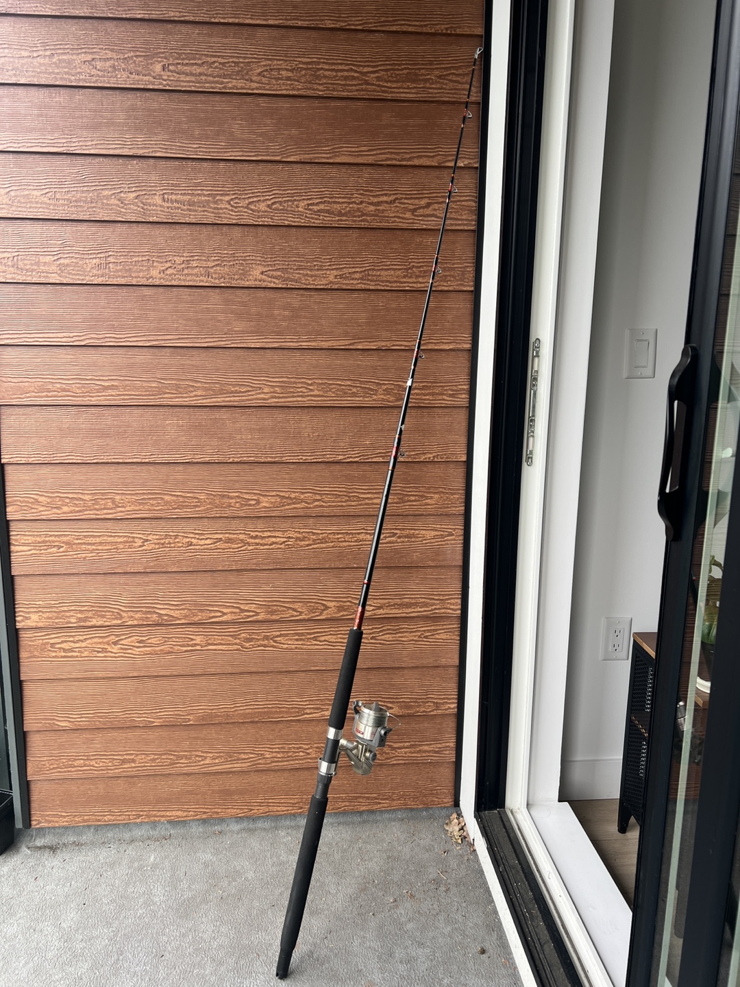Quantum Fishing Rod and two sinker weights