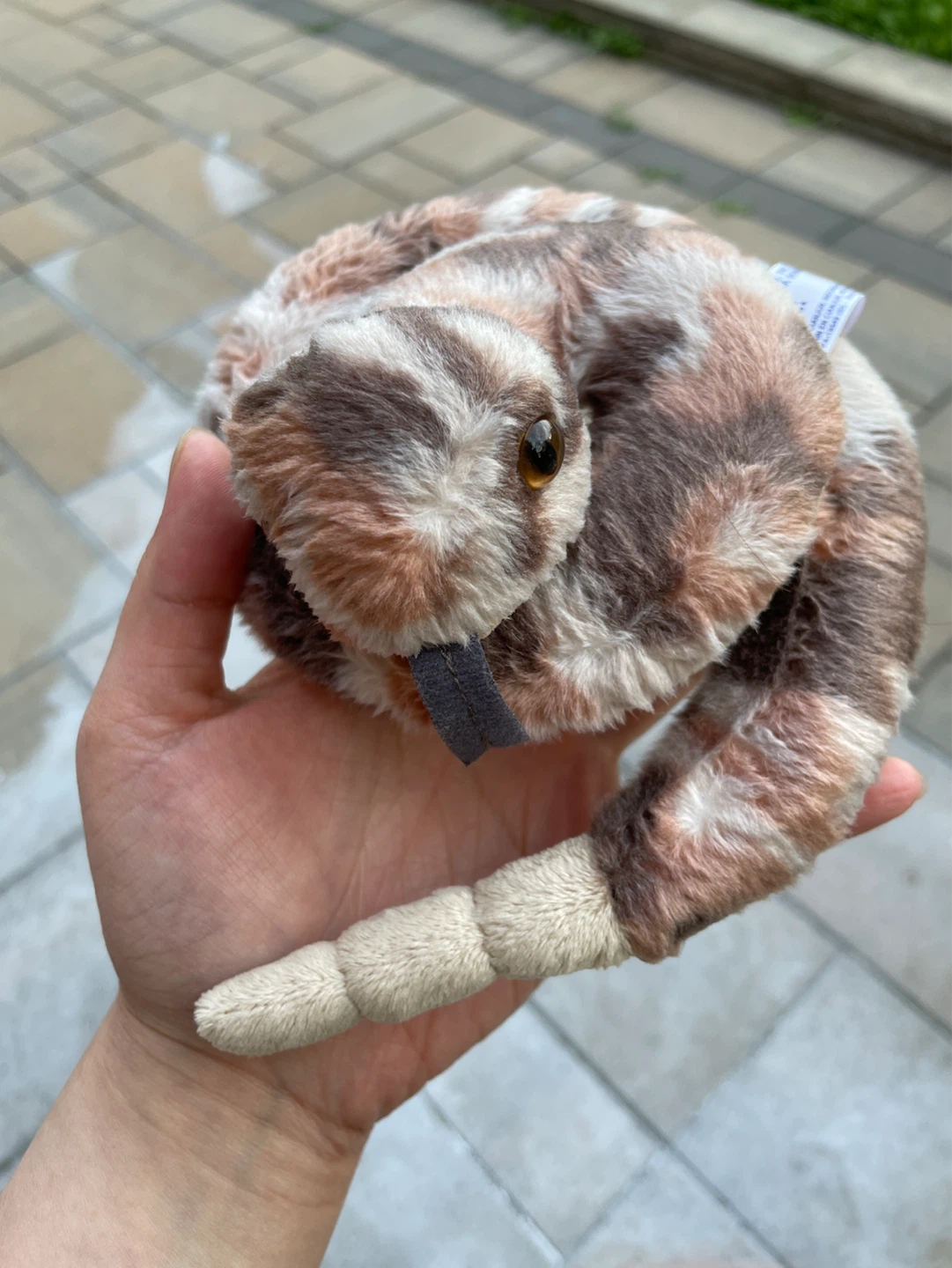 Plush Snake Toy