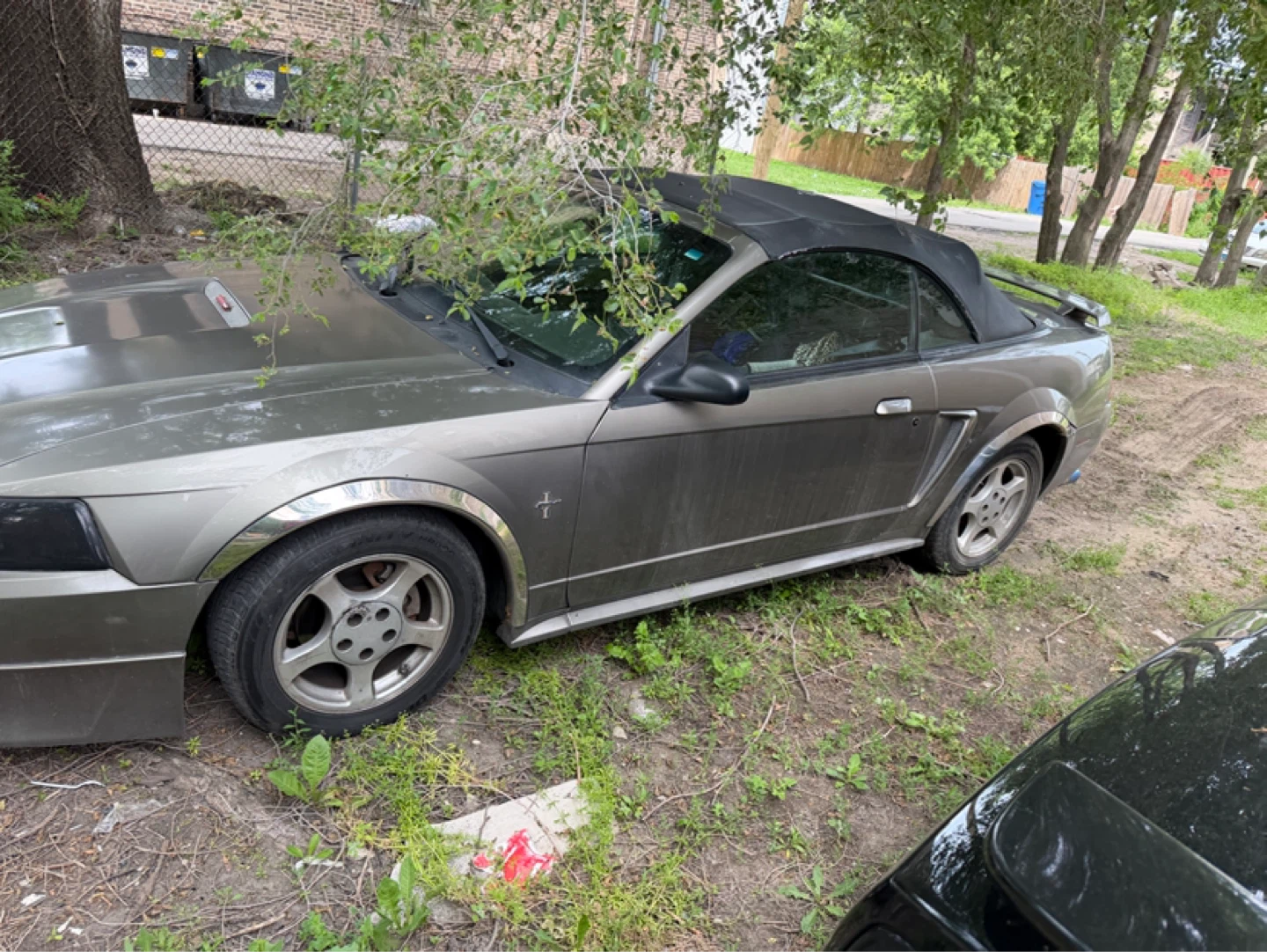 2000 Ford Mustang Convertible - photo 2