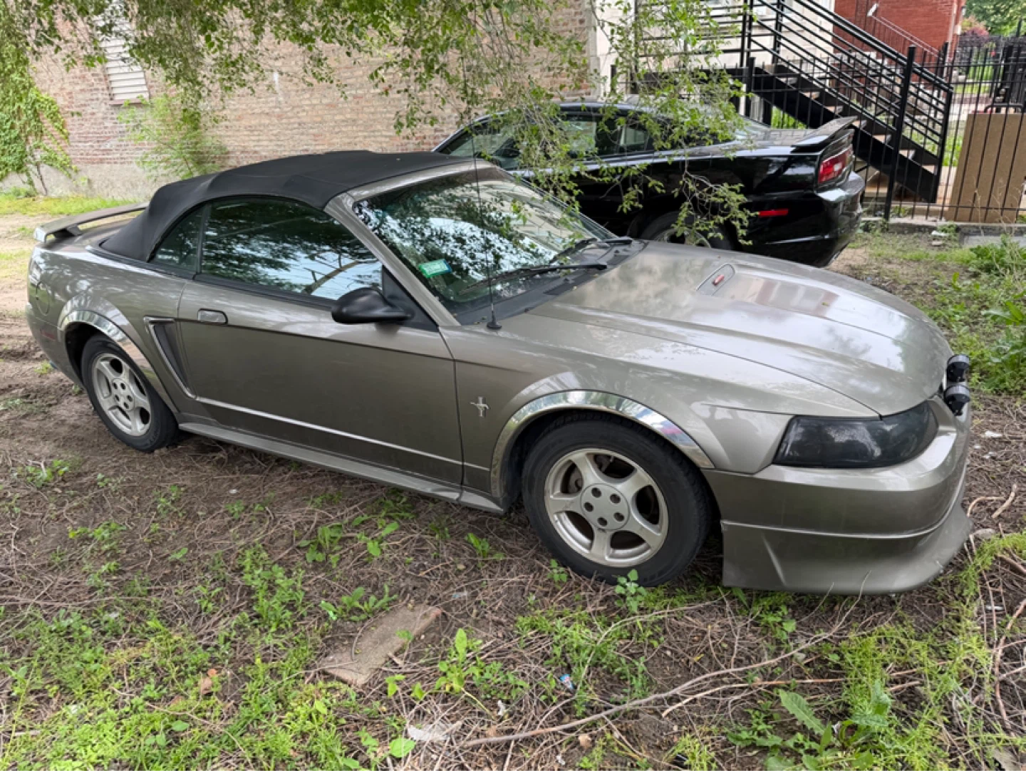 2000 Ford Mustang Convertible