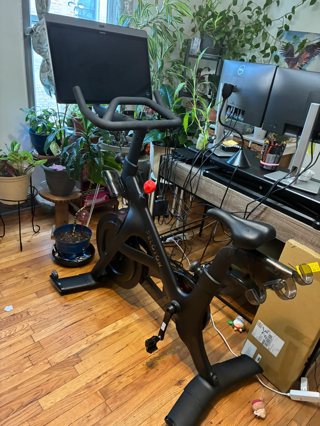 Peloton Bike - photo 5