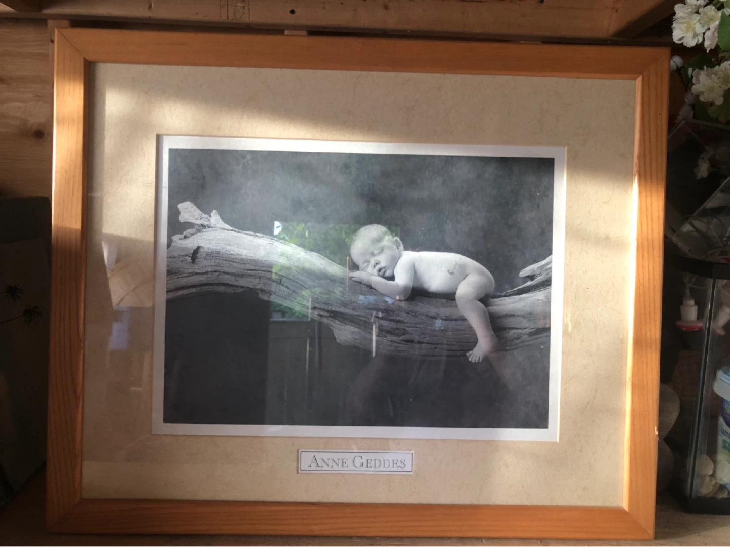 Anne Geddes Framed Photograph of Sleeping Baby