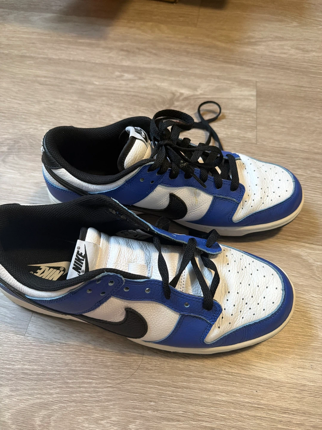 Nike Dunk Low Men's Shoes