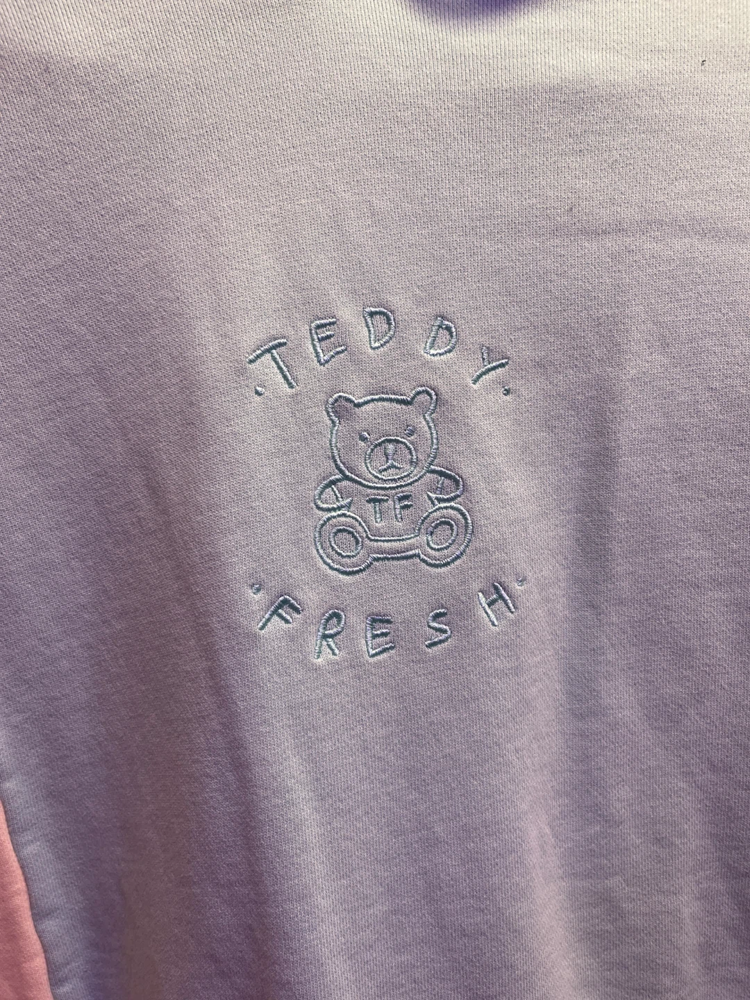 Teddy Fresh Colorblock Hoodie - photo 2