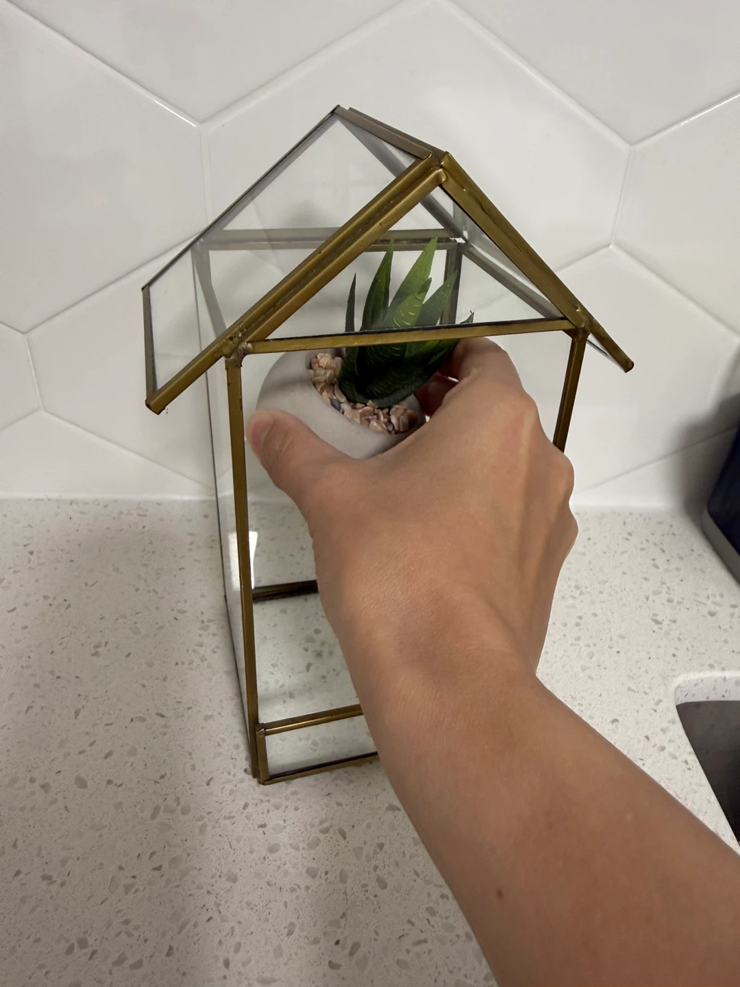 Cute little glass plant house & faux succulent - photo 4