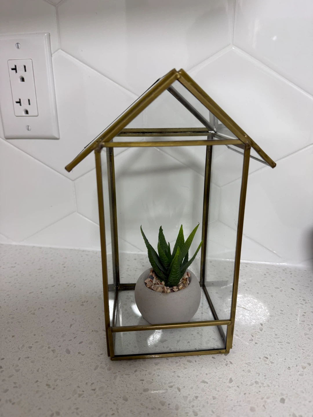 Cute little glass plant house & faux succulent