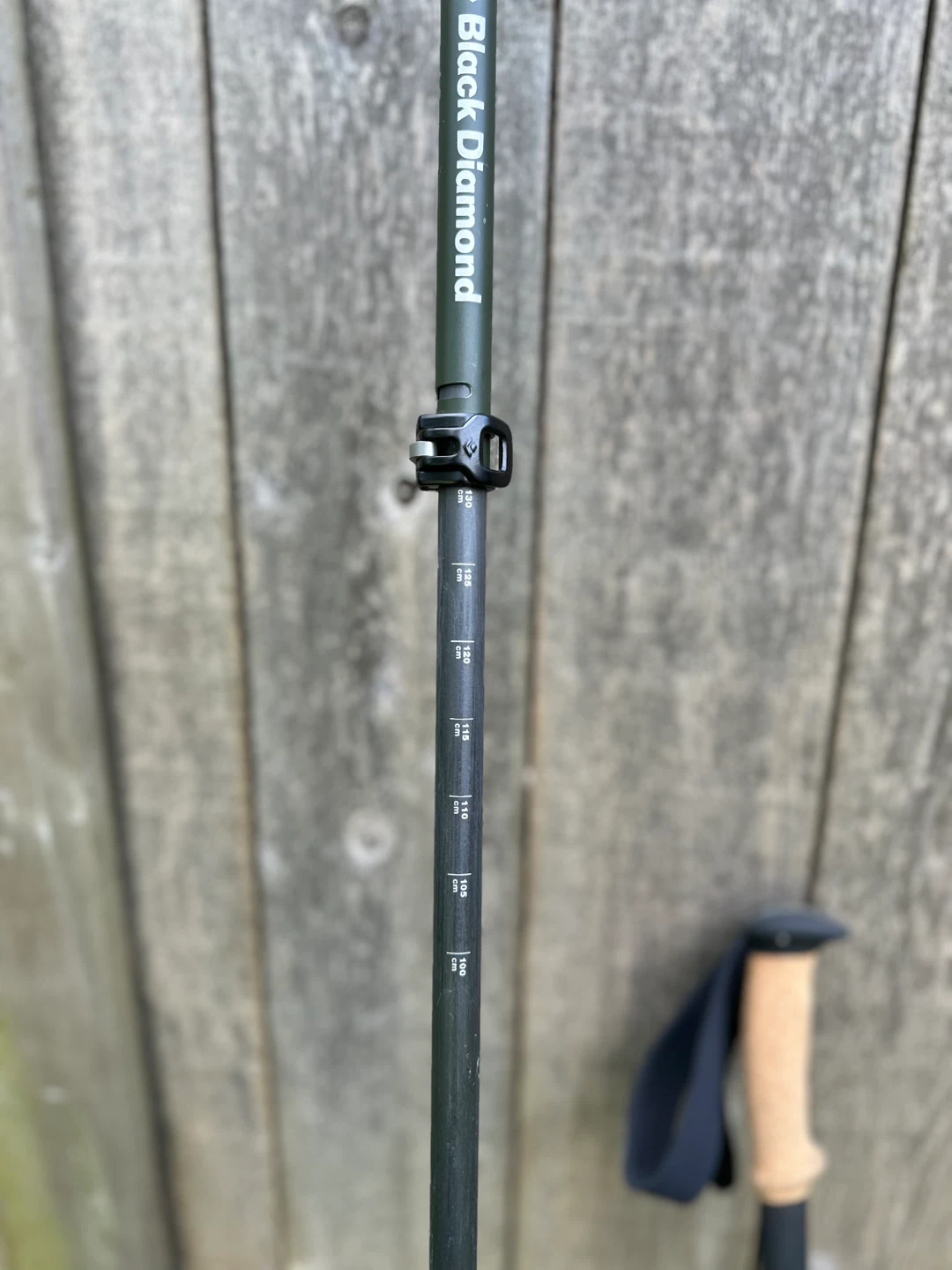 Black Diamond Alpine Carbon Cork Trekking Poles – Carbon Fiber - photo 5